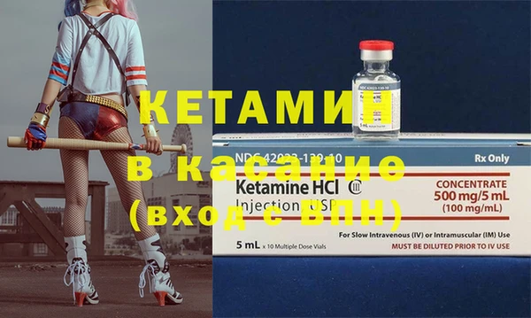 крисы Алзамай