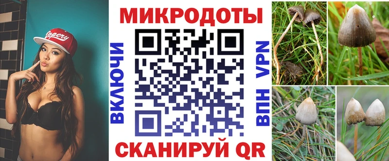 МЕГА ССЫЛКА Тольятти Галлюциногенные грибы прущие грибы