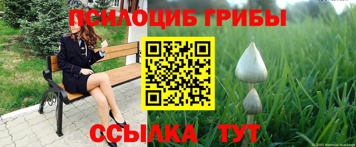 Тольятти  Галлюциногенные грибы GOLDEN TEACHER  Вход с VPN 