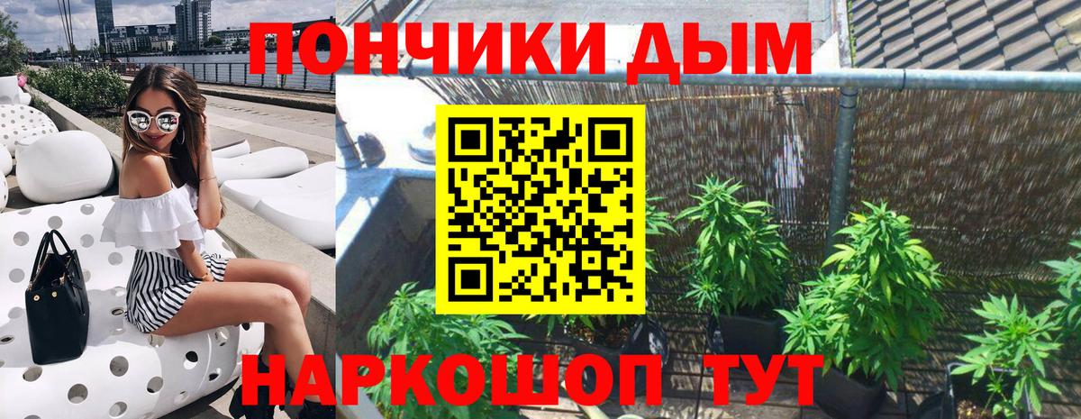 МАРИХУАНА сатива Тольятти